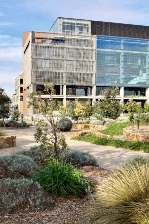 Picture of Frankston Foreshore Redevelopment,  VIC