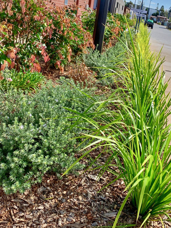 Picture of The Village, Taigum QLD
