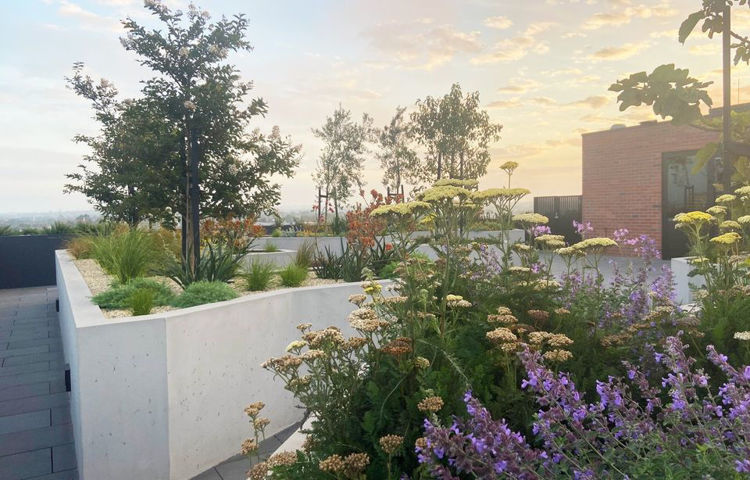 Picture of East Brunswick Village VIC