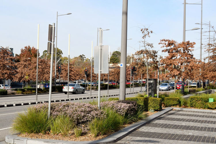 Picture of Lonsdale St Boulevard Dandenong Upgrade, VIC