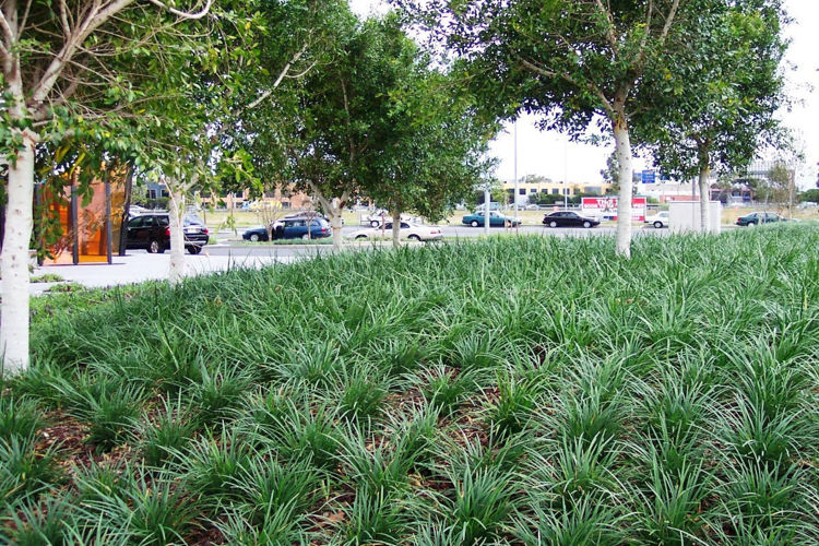 Picture of Tower 5, Docklands VIC