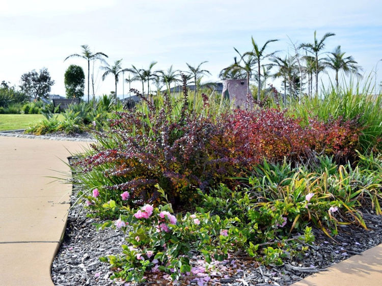 Picture of Berwick Waters, Eyrecourt Reserve, Clyde North VIC